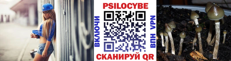 что такое Лаишево Галлюциногенные грибы Magic Shrooms